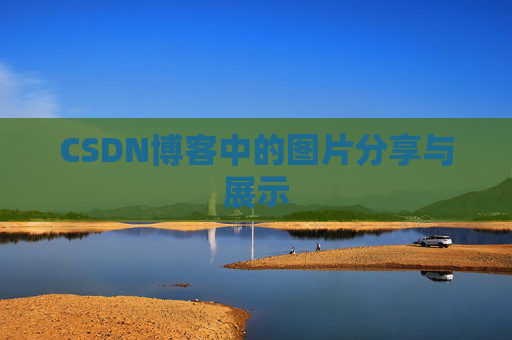 CSDN博客中的图片分享与展示